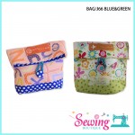 CARRY BAG - BAG/J66 BLUE & GREEN